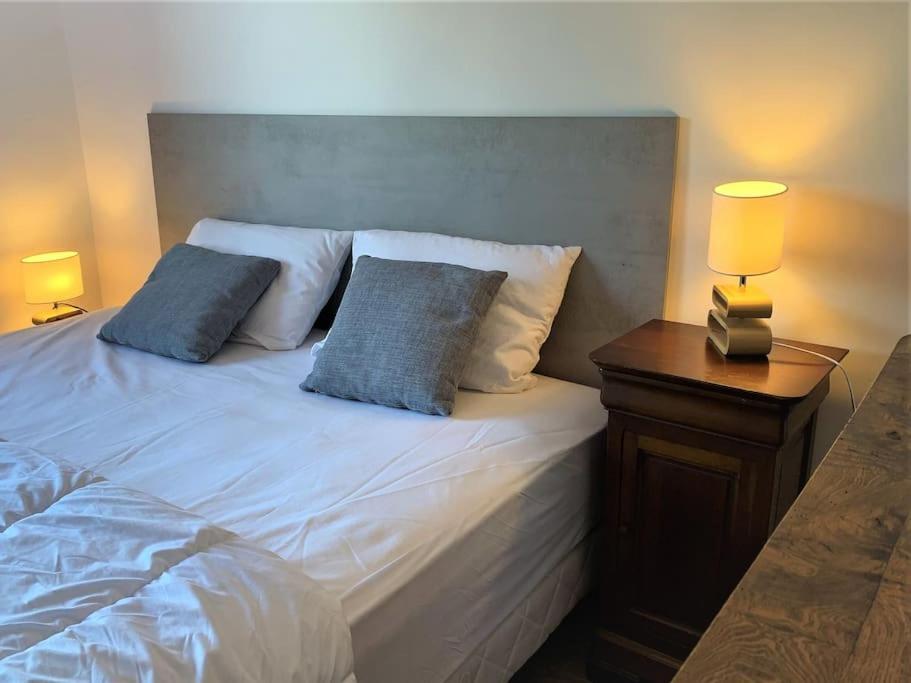 Le 828 : Appartement En Plein Centre De Vannes Dış mekan fotoğraf
